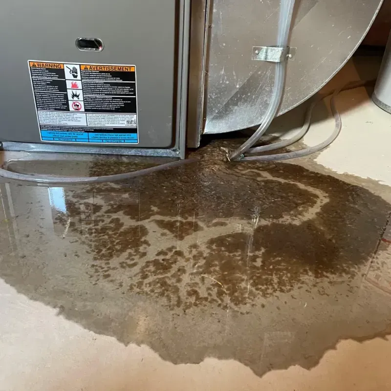 Appliance Leak Cleanup in Fort Myers Beach, FL